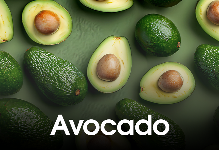 Haddad Al Tajir General Trading LLC | Global Trade from the UAE Sourcing the World